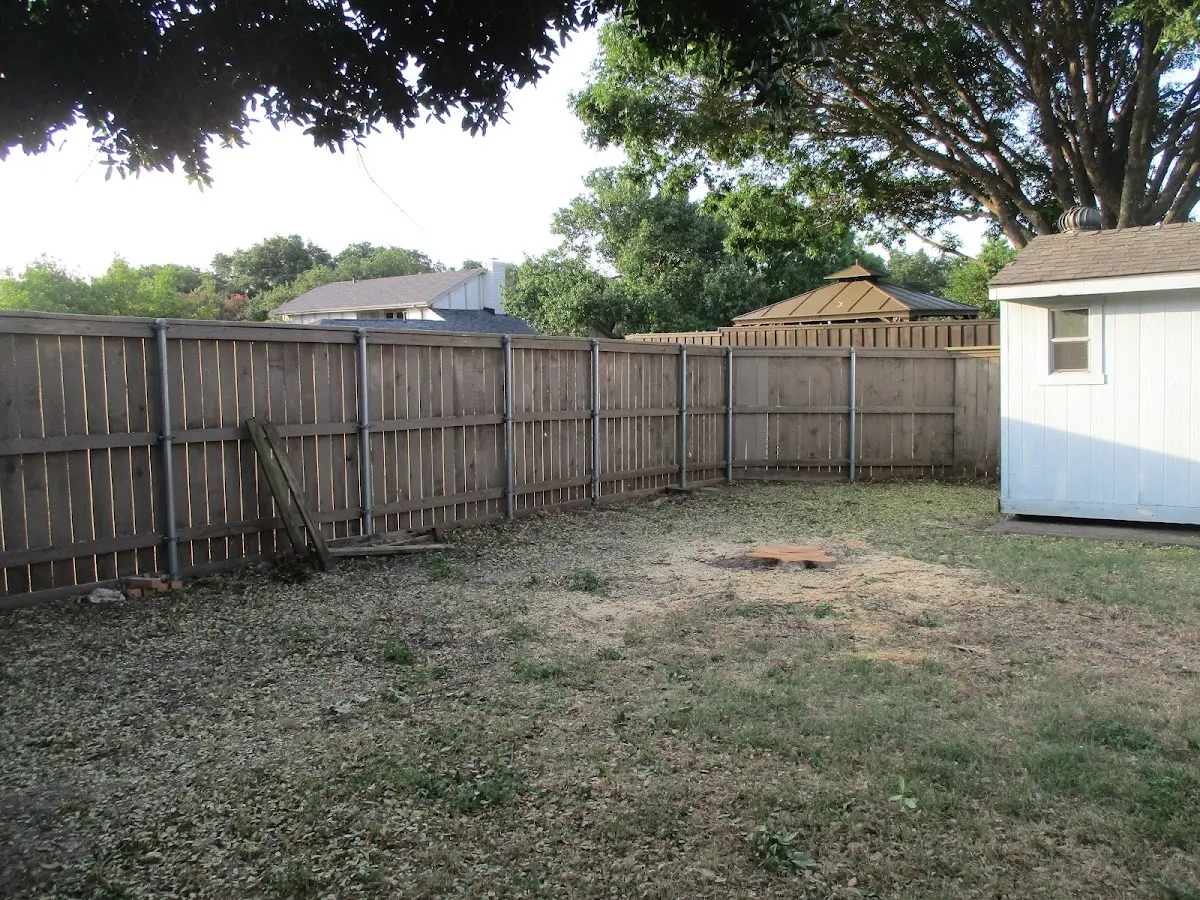 Cleared yard after professional tree removal in Belvidere Center